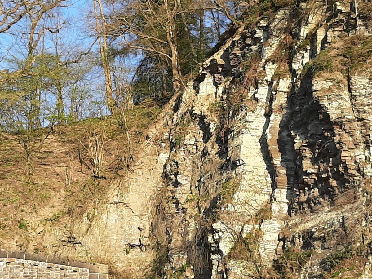Garni-Hotel-Schaefer Schuld Exterior foto